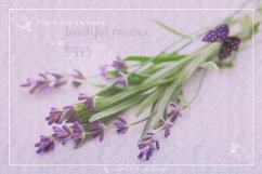 Lavender04