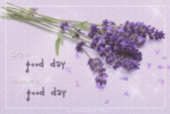 Lavender06