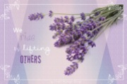 Lavender08